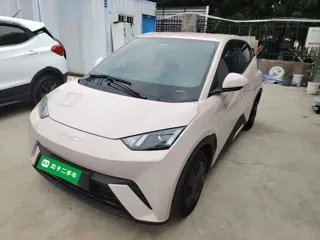 BYD Seagull 2024 купить из Китая, цена 1 265 000 ₽ — Suifenhe Auto