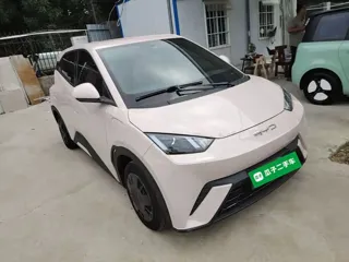 BYD Seagull 2024 купить из Китая, цена 1 265 000 ₽ — Suifenhe Auto
