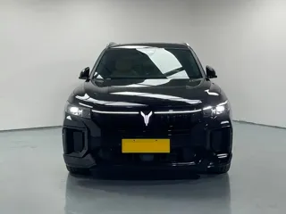 Voyah Free 2024 купить из Китая, цена 5 530 000 ₽ — Suifenhe Auto