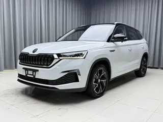 Skoda Kamiq 2023 купить из Китая, цена 1 914 000 ₽ — Suifenhe Auto