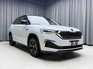 Skoda Kamiq 2023 купить из Китая, цена 1 914 000 ₽ — Suifenhe Auto