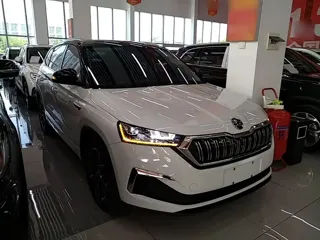 Skoda Kamiq 2024 купить из Китая, цена 2 122 000 ₽ — Suifenhe Auto
