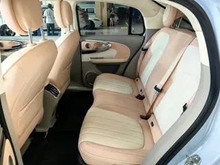ORA Ballet Cat 2023 купить из Китая, цена 1 824 000 ₽ — Suifenhe Auto