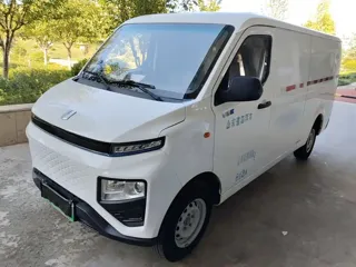 Farizon V 2024