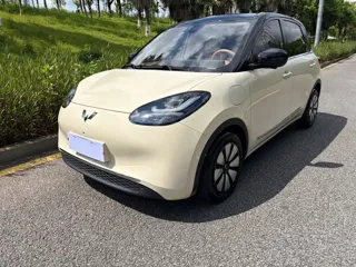 Wuling Bingo 2025