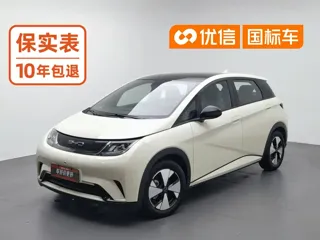 BYD Dolphin 2023 купить из Китая, цена 1 476 000 ₽ — Suifenhe Auto