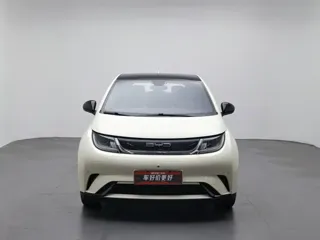 BYD Dolphin 2023 купить из Китая, цена 1 476 000 ₽ — Suifenhe Auto
