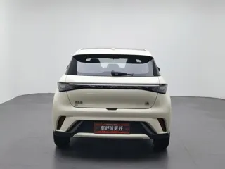 BYD Dolphin 2023 купить из Китая, цена 1 476 000 ₽ — Suifenhe Auto