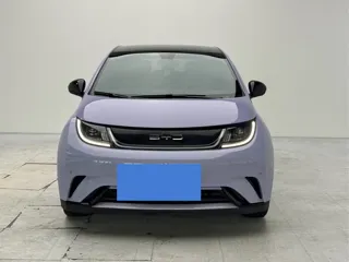 BYD Dolphin 2023 купить из Китая, цена 1 458 000 ₽ — Suifenhe Auto