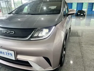 BYD Dolphin 2022 купить из Китая, цена 3 039 000 ₽ — Suifenhe Auto