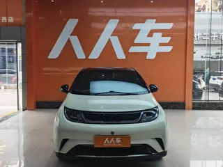 BYD Dolphin 2024 купить из Китая, цена 1 601 000 ₽ — Suifenhe Auto