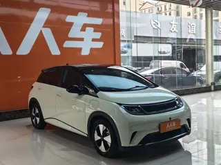 BYD Dolphin 2024 купить из Китая, цена 1 601 000 ₽ — Suifenhe Auto