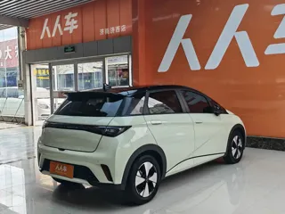 BYD Dolphin 2024 купить из Китая, цена 1 601 000 ₽ — Suifenhe Auto