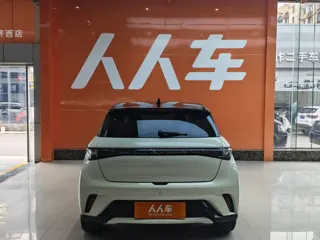 BYD Dolphin 2024 купить из Китая, цена 1 601 000 ₽ — Suifenhe Auto