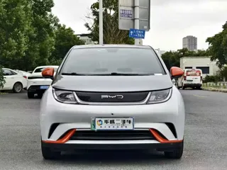 BYD Dolphin 2022 купить из Китая, цена 1 294 000 ₽ — Suifenhe Auto