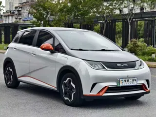 BYD Dolphin 2022 купить из Китая, цена 1 294 000 ₽ — Suifenhe Auto