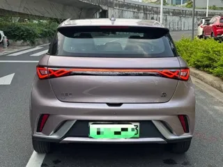 BYD Dolphin 2022 купить из Китая, цена 1 272 000 ₽ — Suifenhe Auto
