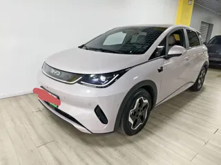 BYD Dolphin 2025 купить из Китая, цена 1 804 000 ₽ — Suifenhe Auto