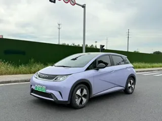 BYD Dolphin 2023 купить из Китая, цена 1 439 000 ₽ — Suifenhe Auto
