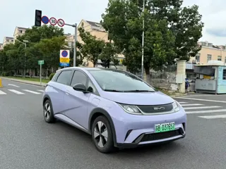 BYD Dolphin 2023 купить из Китая, цена 1 439 000 ₽ — Suifenhe Auto