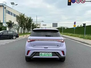 BYD Dolphin 2023 купить из Китая, цена 1 439 000 ₽ — Suifenhe Auto
