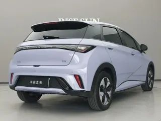 BYD Dolphin 2024 купить из Китая, цена 1 565 000 ₽ — Suifenhe Auto