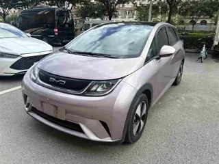 BYD Dolphin 2023 купить из Китая, цена 1 548 000 ₽ — Suifenhe Auto