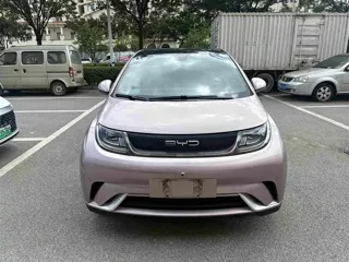 BYD Dolphin 2023 купить из Китая, цена 1 548 000 ₽ — Suifenhe Auto