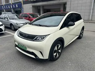 BYD Dolphin 2024 купить из Китая, цена 1 619 000 ₽ — Suifenhe Auto
