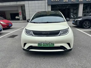 BYD Dolphin 2024 купить из Китая, цена 1 619 000 ₽ — Suifenhe Auto