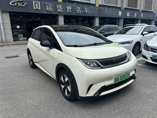 BYD Dolphin 2024 купить из Китая, цена 1 619 000 ₽ — Suifenhe Auto