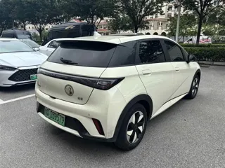 BYD Dolphin 2024 купить из Китая, цена 1 619 000 ₽ — Suifenhe Auto