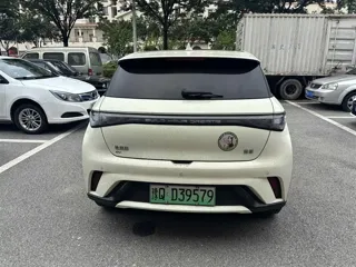BYD Dolphin 2024 купить из Китая, цена 1 619 000 ₽ — Suifenhe Auto