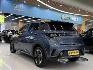 BYD Dolphin 2026 купить из Китая, цена 1 783 000 ₽ — Suifenhe Auto
