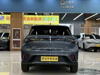 BYD Dolphin 2026 купить из Китая, цена 1 783 000 ₽ — Suifenhe Auto
