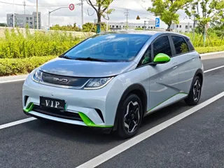BYD Dolphin 2022 купить из Китая, цена 1 134 000 ₽ — Suifenhe Auto