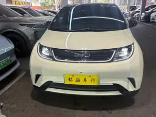 BYD Dolphin 2024 купить из Китая, цена 1 565 000 ₽ — Suifenhe Auto