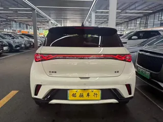BYD Dolphin 2024 купить из Китая, цена 1 565 000 ₽ — Suifenhe Auto