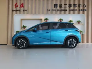 BYD Dolphin 2022 купить из Китая, цена 1 349 000 ₽ — Suifenhe Auto