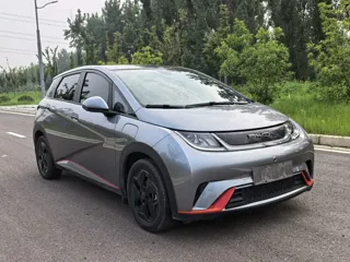 BYD Dolphin 2022 купить из Китая, цена 1 358 000 ₽ — Suifenhe Auto