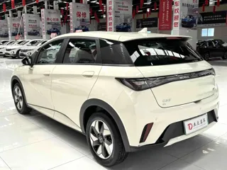 BYD Dolphin 2026 купить из Китая, цена 2 027 000 ₽ — Suifenhe Auto