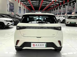 BYD Dolphin 2026 купить из Китая, цена 2 027 000 ₽ — Suifenhe Auto