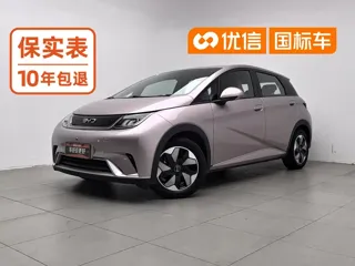 BYD Dolphin 2024 купить из Китая, цена 1 510 000 ₽ — Suifenhe Auto