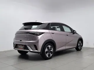 BYD Dolphin 2024 купить из Китая, цена 1 510 000 ₽ — Suifenhe Auto