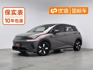 BYD Dolphin 2025 купить из Китая, цена 2 809 000 ₽ — Suifenhe Auto