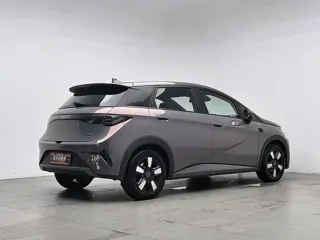BYD Dolphin 2025 купить из Китая, цена 2 809 000 ₽ — Suifenhe Auto