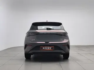 BYD Dolphin 2025 купить из Китая, цена 2 809 000 ₽ — Suifenhe Auto