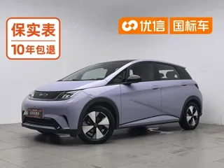 BYD Dolphin 2023 купить из Китая, цена 1 403 000 ₽ — Suifenhe Auto