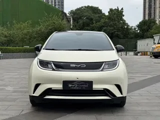 BYD Dolphin 2023 купить из Китая, цена 1 548 000 ₽ — Suifenhe Auto