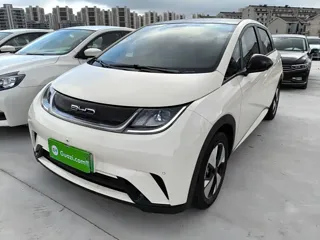 BYD Dolphin 2024 купить из Китая, цена 1 550 000 ₽ — Suifenhe Auto